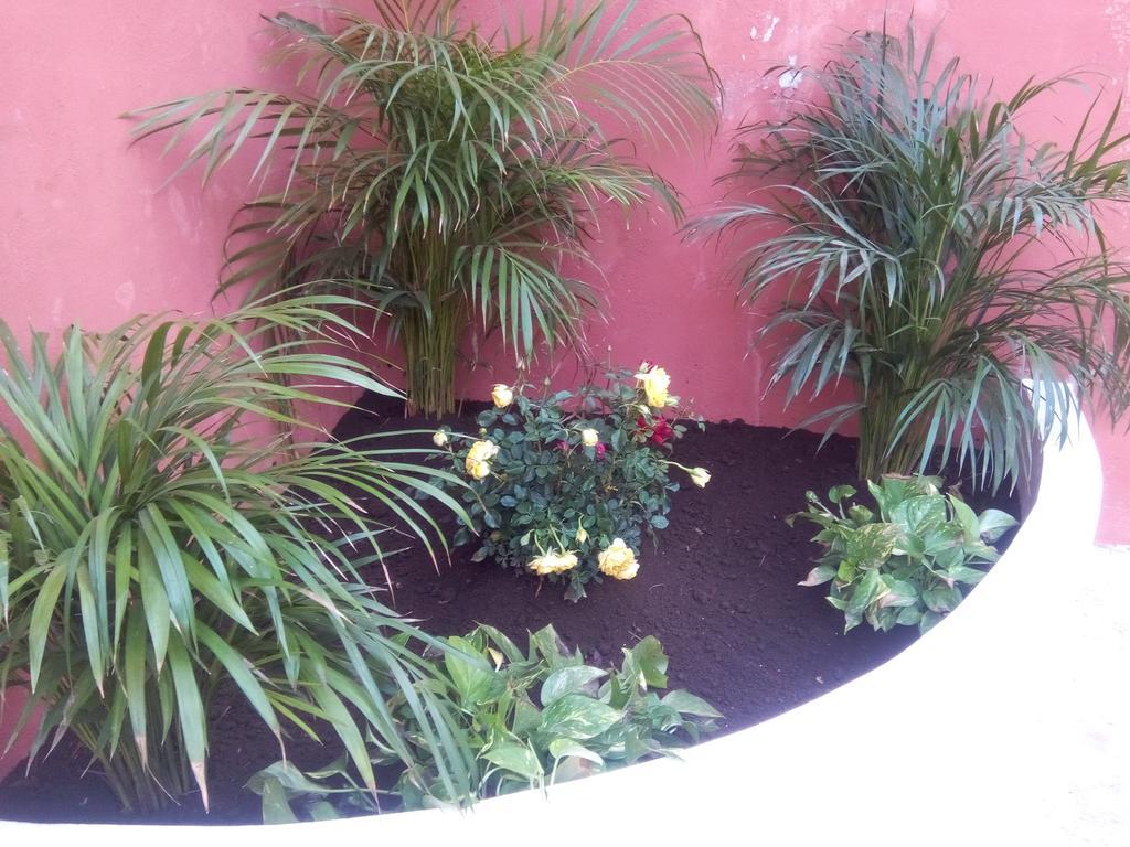Casa Mazejuwi Campeche Exterior photo
