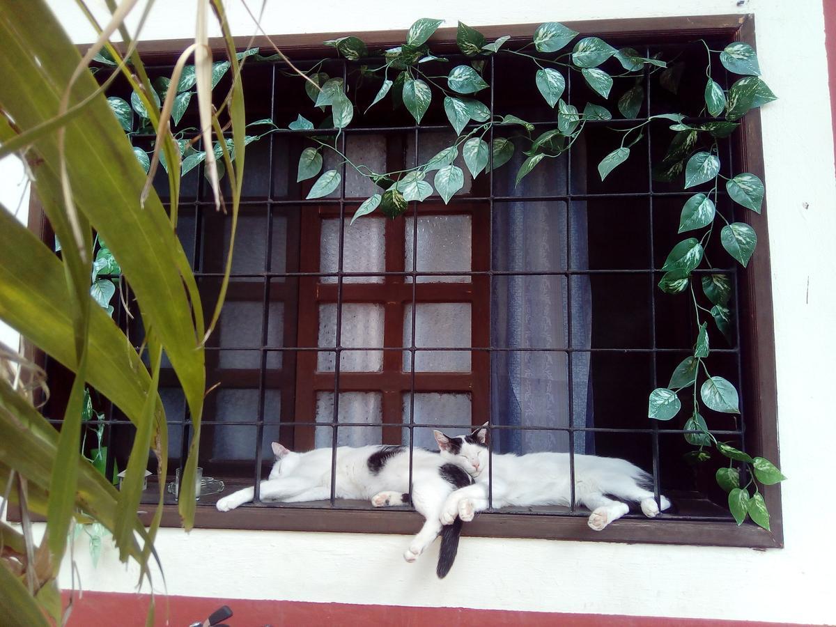 Casa Mazejuwi Campeche Exterior photo